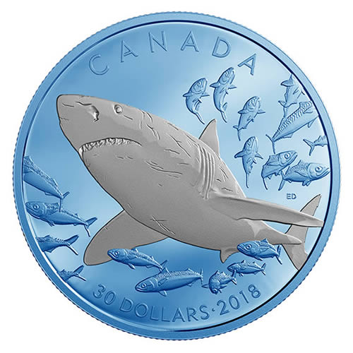 RCM-New-Release:-2018-2-Oz.-Pure-Silver-Coin-With-Selective-Blue-Rhodium-Plating---Great-White-Shark